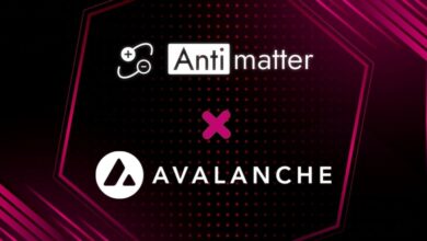 Antimatter Launches Low Cost and User-Friendly Avalanche