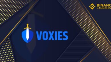 Introducing the Voxies (VOXEL) Token Sale at the Binance Platform