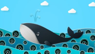 Binance Whale Buys 2 Billion SafeMoon Coins