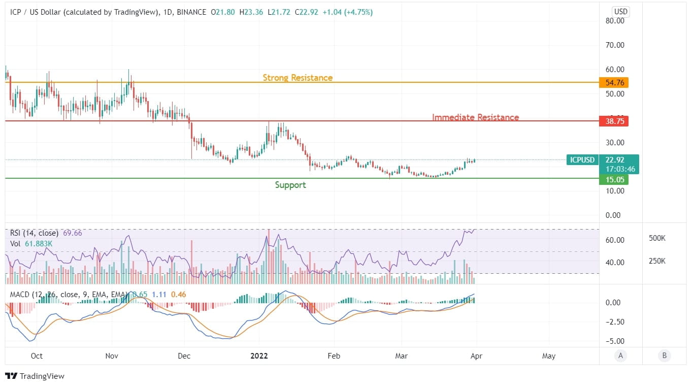 Internet Computer Hits All-Time Low; Will ICP Rebound Soon?