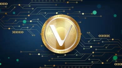 VeChain and Tesla introduce their VeBetterDAO application